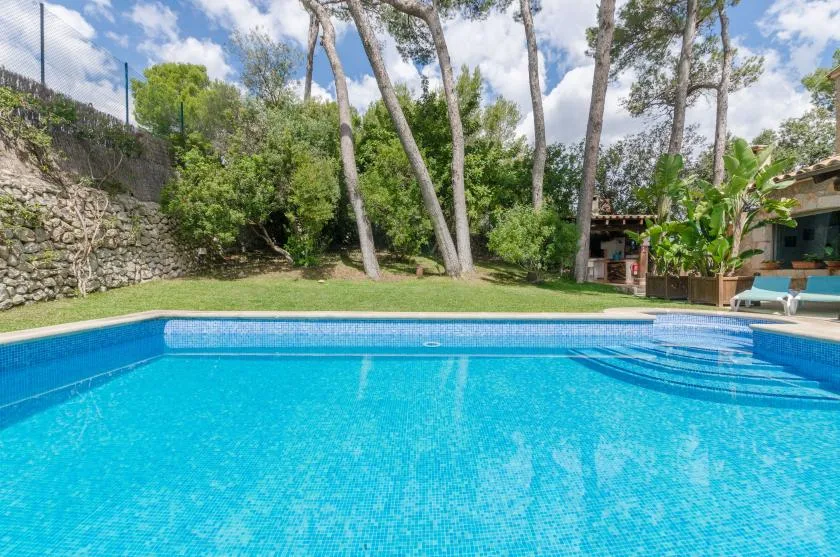 An outdoor swimming pool sits beside a landscaped garden and tall trees.