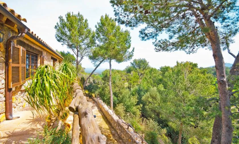 A wooden walkway beside a house overlooks a green, tree-filled landscape.