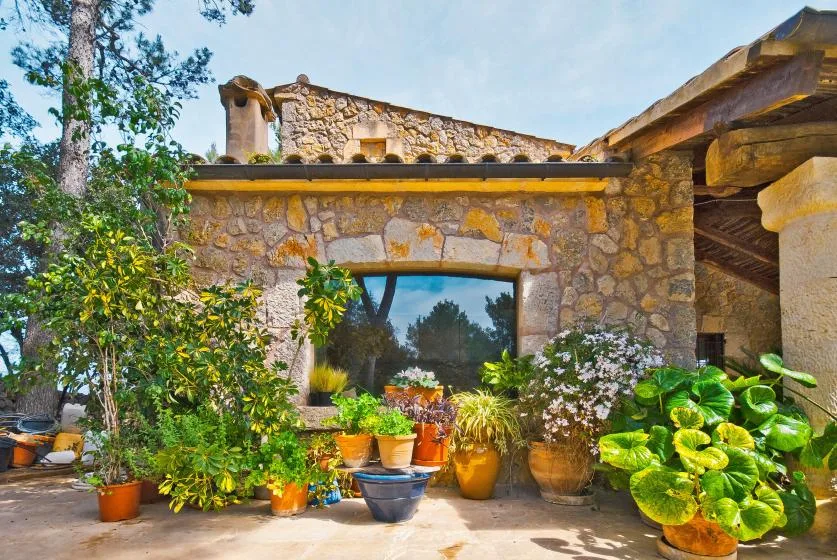 A stone building with a large window is surrounded by potted plants.