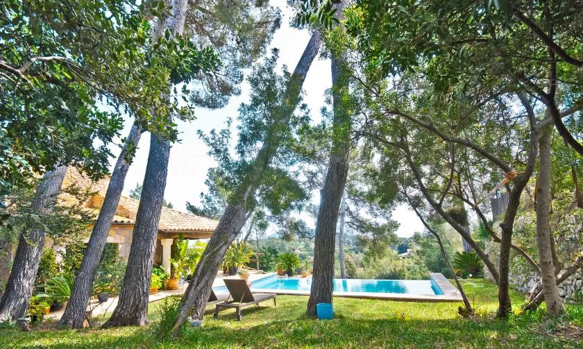 A swimming pool sits in a grassy garden among mature trees, beside a house.