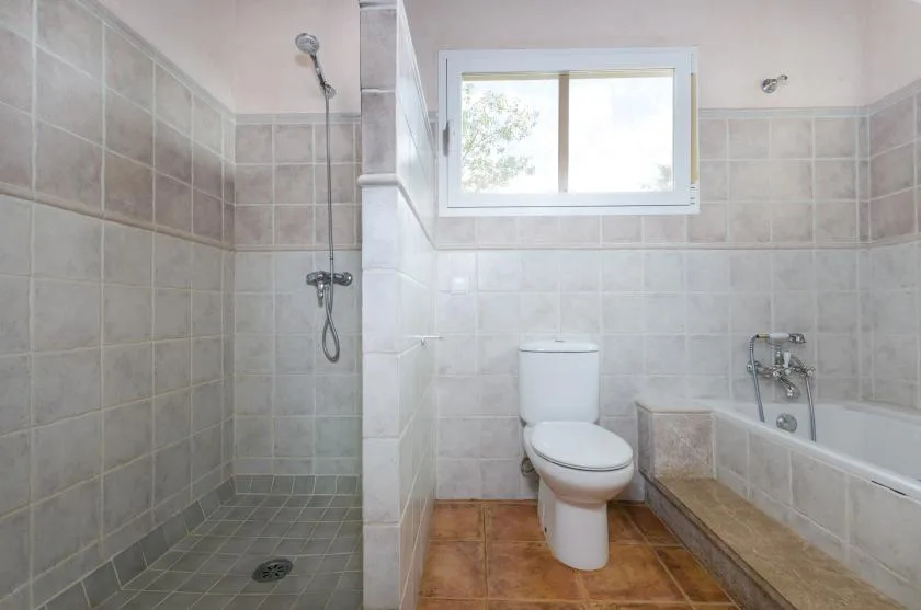 A bathroom with a walk-in shower, toilet, and bathtub beneath a window.