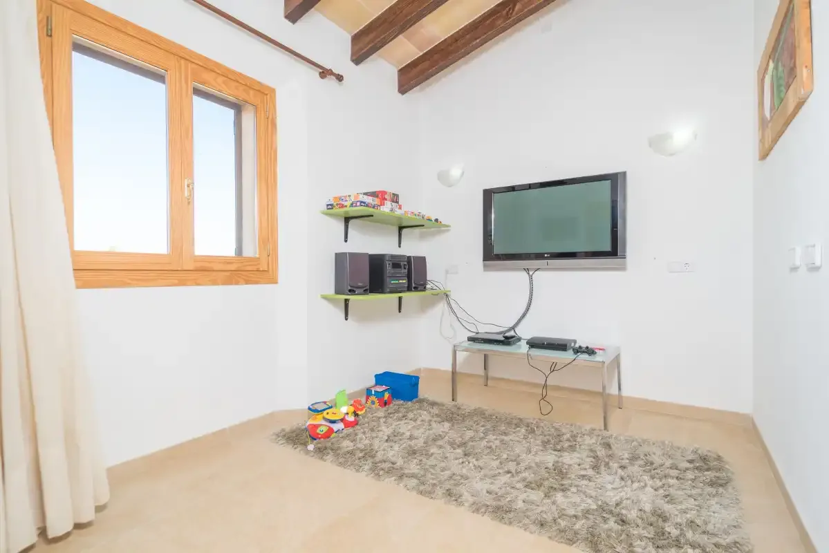 A bright living room with a television, media shelves, and a rug.