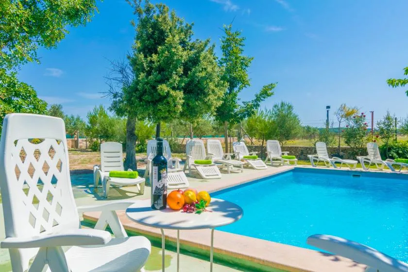 An outdoor swimming pool is surrounded by white loungers and leafy trees.