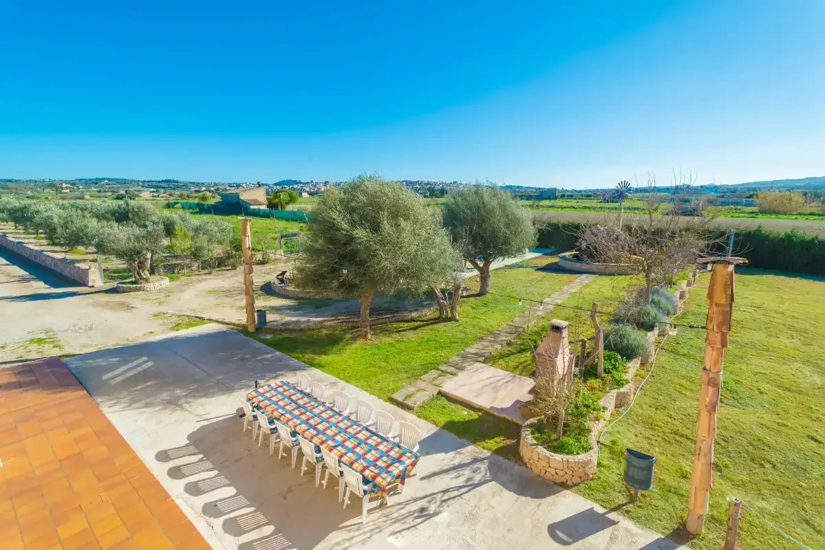 A sunny outdoor dining area with a long table beside trees and open fields.