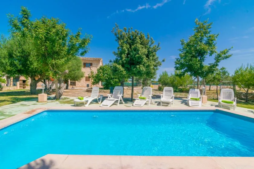 An outdoor swimming pool with lounge seating beneath leafy trees.