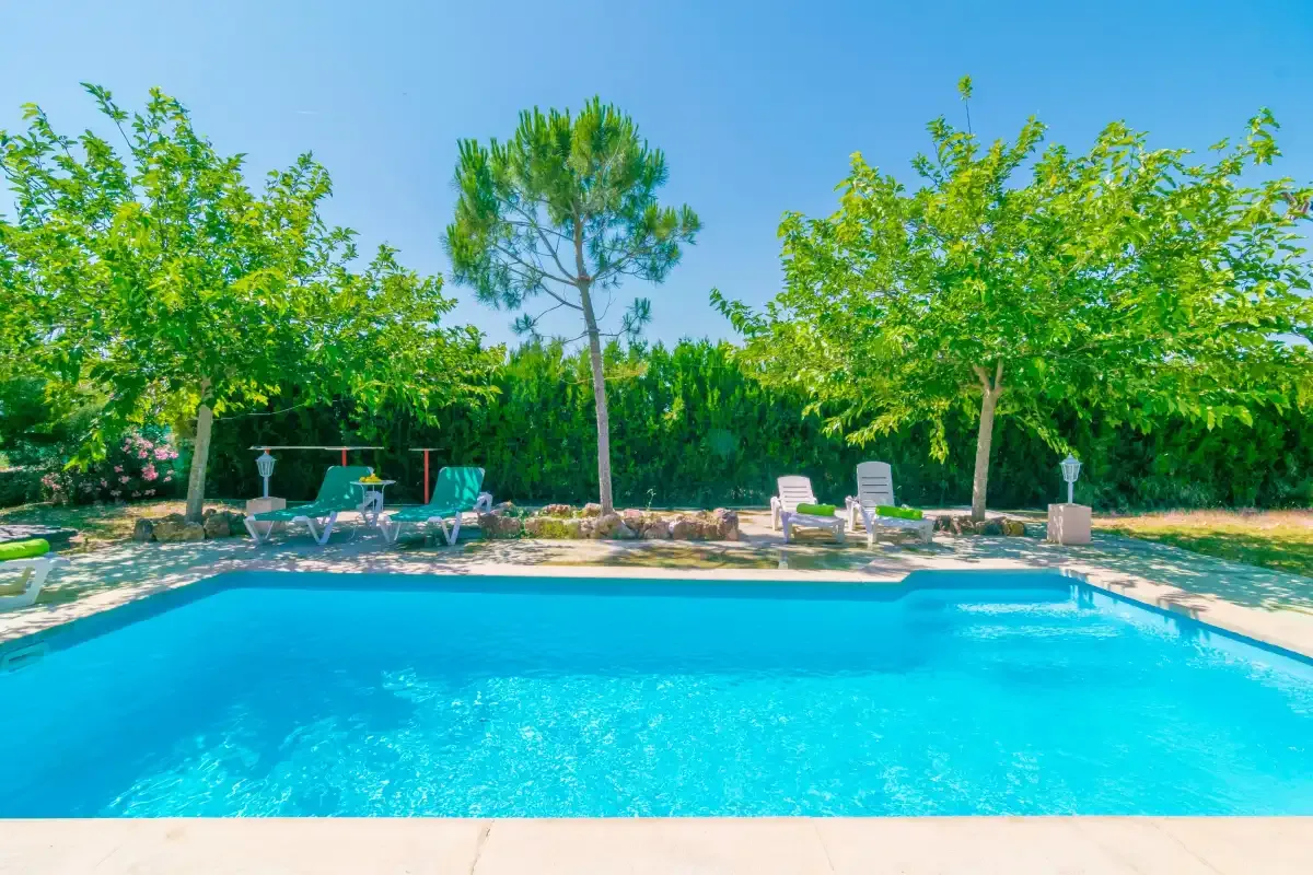 A swimming pool surrounded by trees, with seating along the edge.