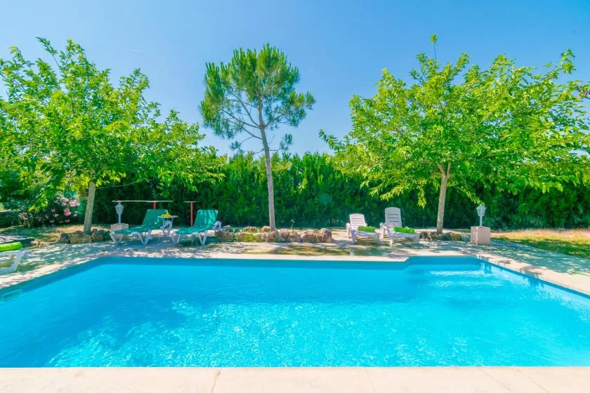 An outdoor swimming pool is surrounded by trees and lounge seating.
