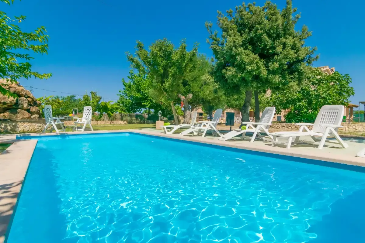 A swimming pool with lounge seating and trees around the paved deck.