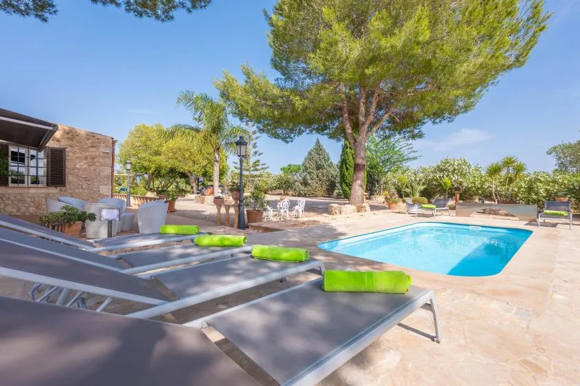 Una piscina al aire libre junto a tumbonas y árboles en un patio soleado.
