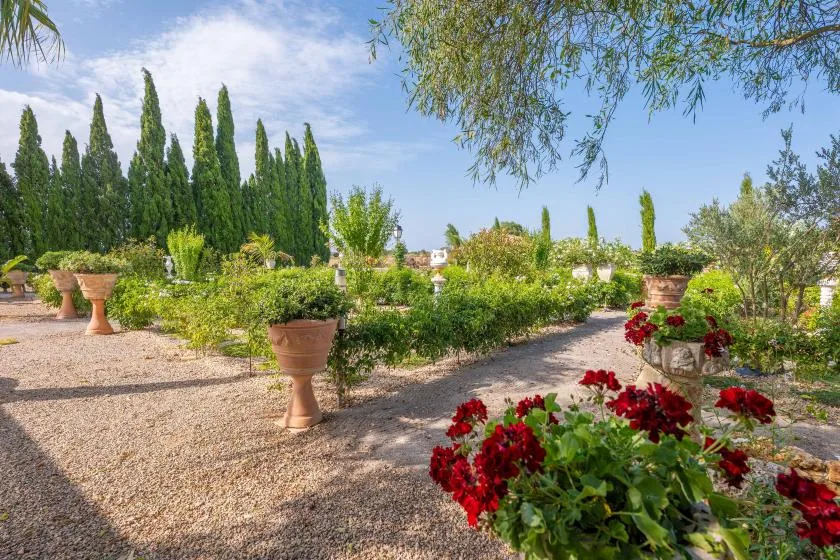 Un jardín paisajístico con senderos de grava, plantas en macetas y flores rojas.