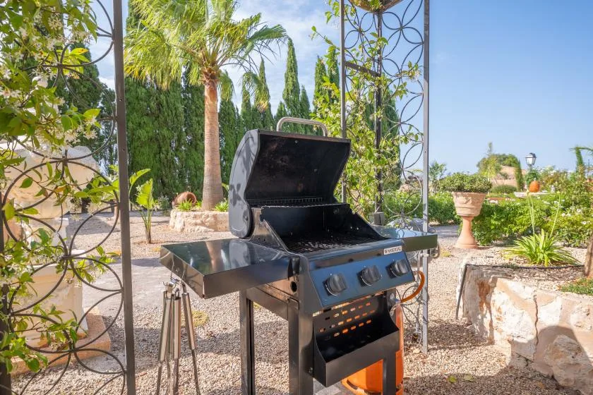 Una parrilla al aire libre está en un jardín de grava con palmeras y enredaderas.