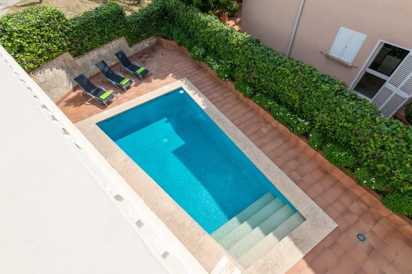 A rectangular swimming pool sits beside a paved patio bordered by greenery.