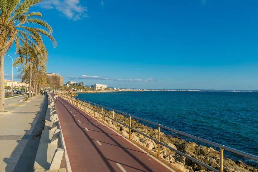 A seaside promenade with a paved path beside the blue water.