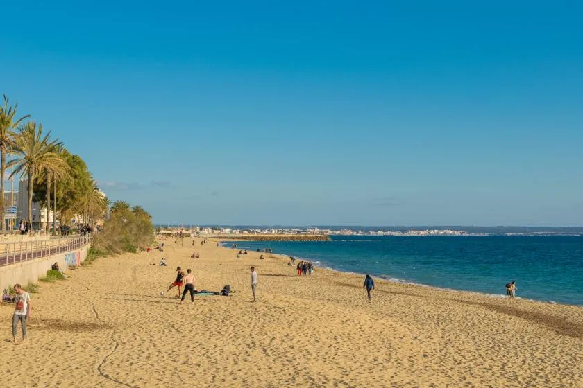 A sandy beach with people along the shoreline and a palm-lined promenade.