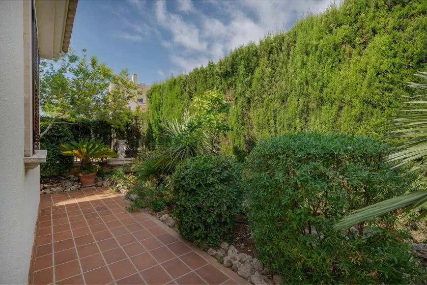 A tiled garden walkway runs alongside dense green hedges and leafy plants.