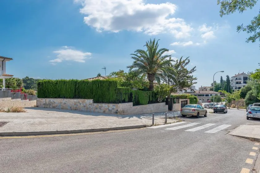 A sunny residential street with a crosswalk, parked cars, and palm trees.