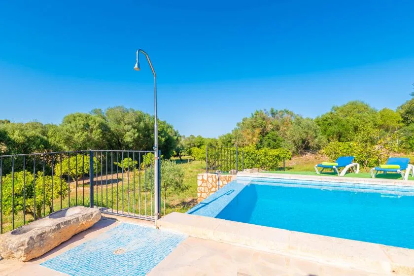 An outdoor swimming pool beside a tiled shallow area, with greenery beyond.