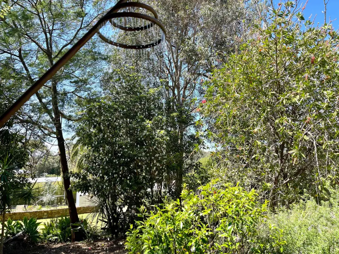 A leafy garden with trees and shrubs beside a curved metal structure.