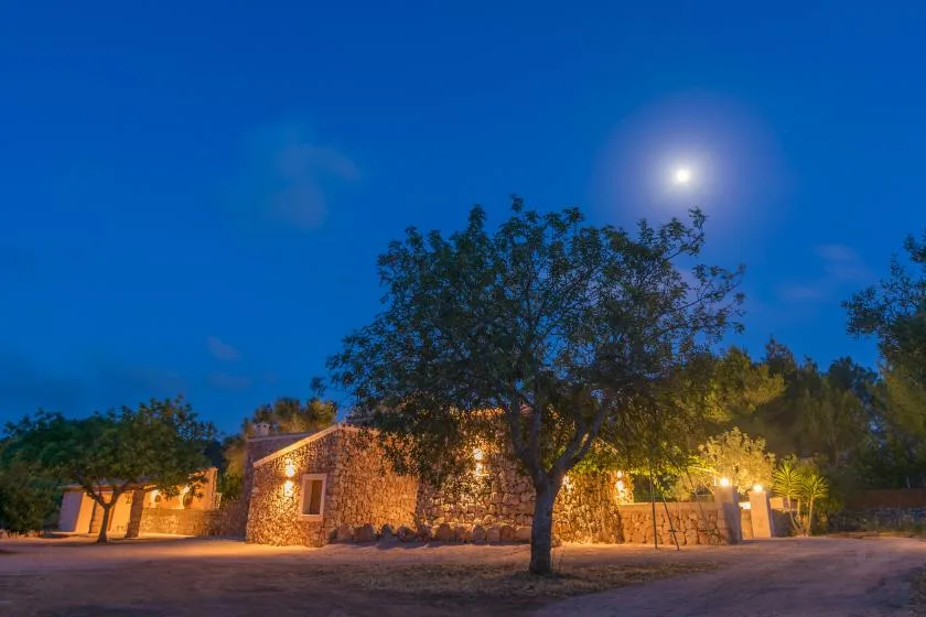 Un edificio de piedra y árboles están iluminados bajo el cielo nocturno.