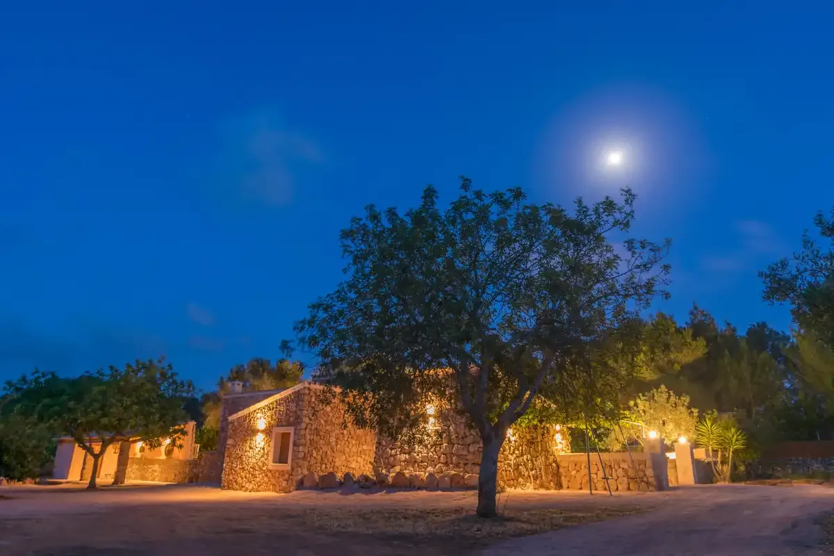 Un edificio de piedra y árboles están iluminados bajo la luna por la noche.