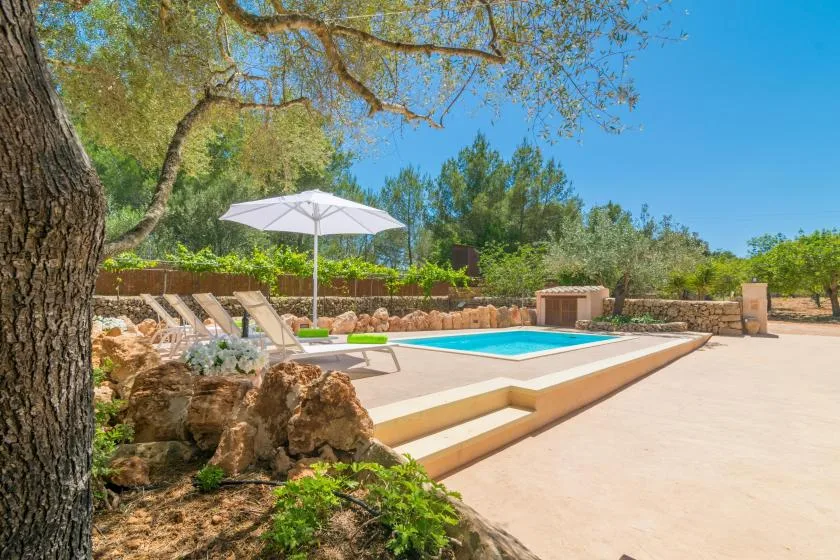 Una piscina al aire libre está junto a un patio pavimentado y una zona de descanso a la sombra.