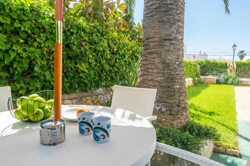 A garden patio table sits beside a palm tree and green lawn.