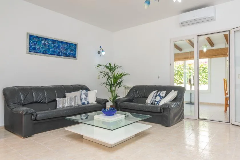 A living room with dark seating, a glass coffee table, and a potted plant.