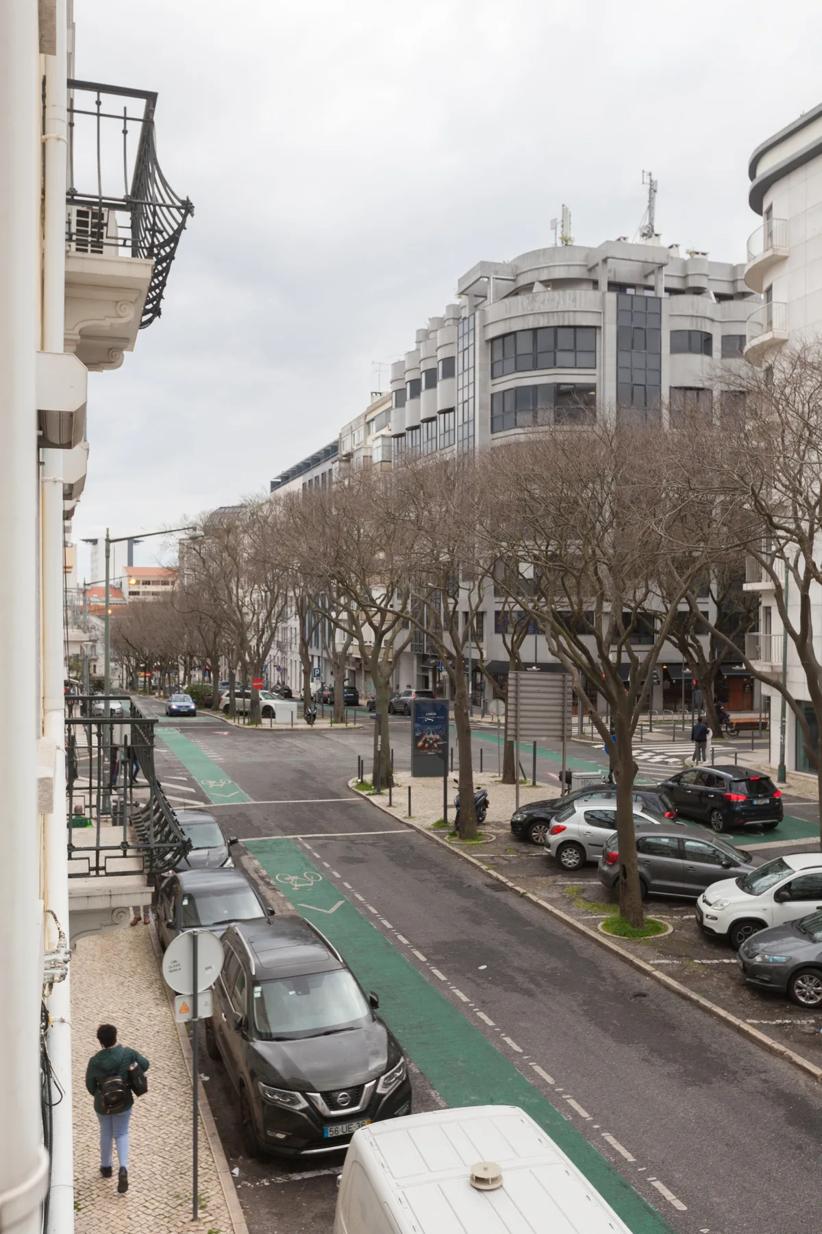 A city street with a green bike lane, parked cars, and rows of trees.