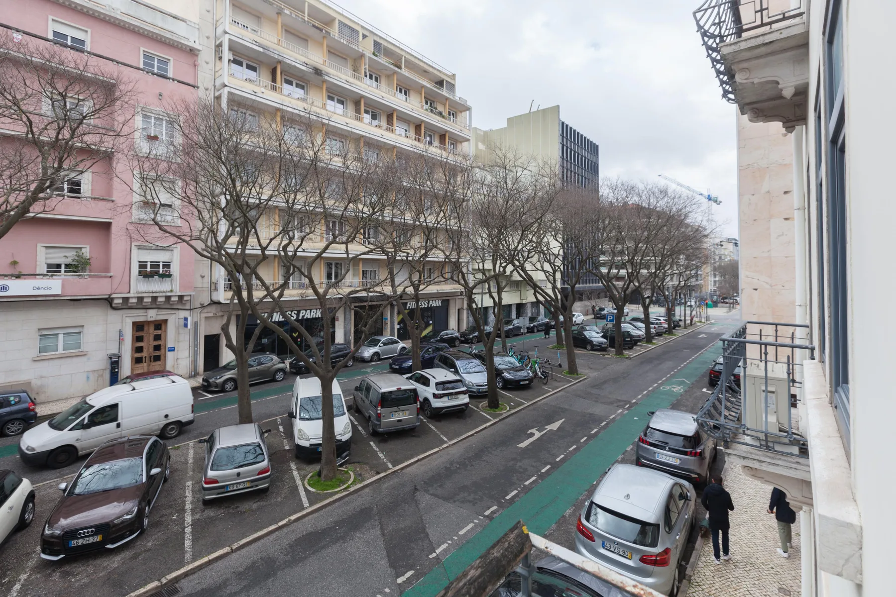A city street lined with parked cars, leafless trees, and multistory buildings.