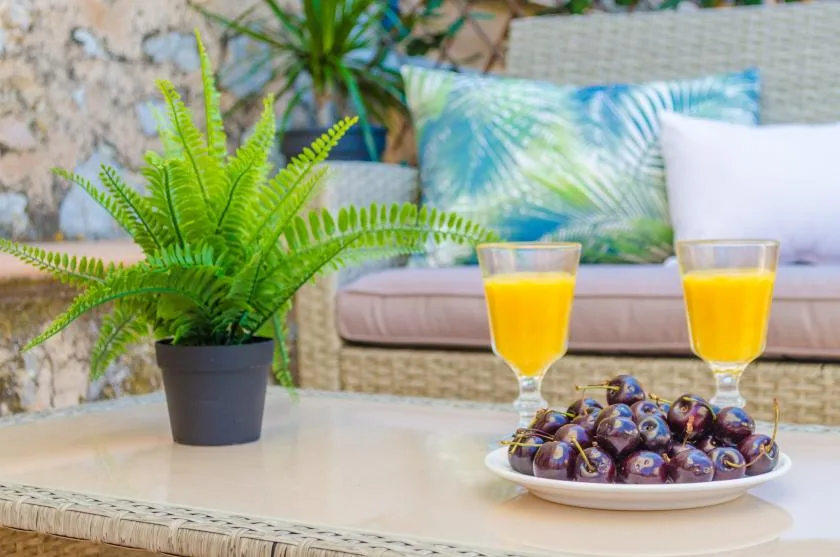 A patio seating area with a potted fern, two glasses of juice, and a plate of fruit.