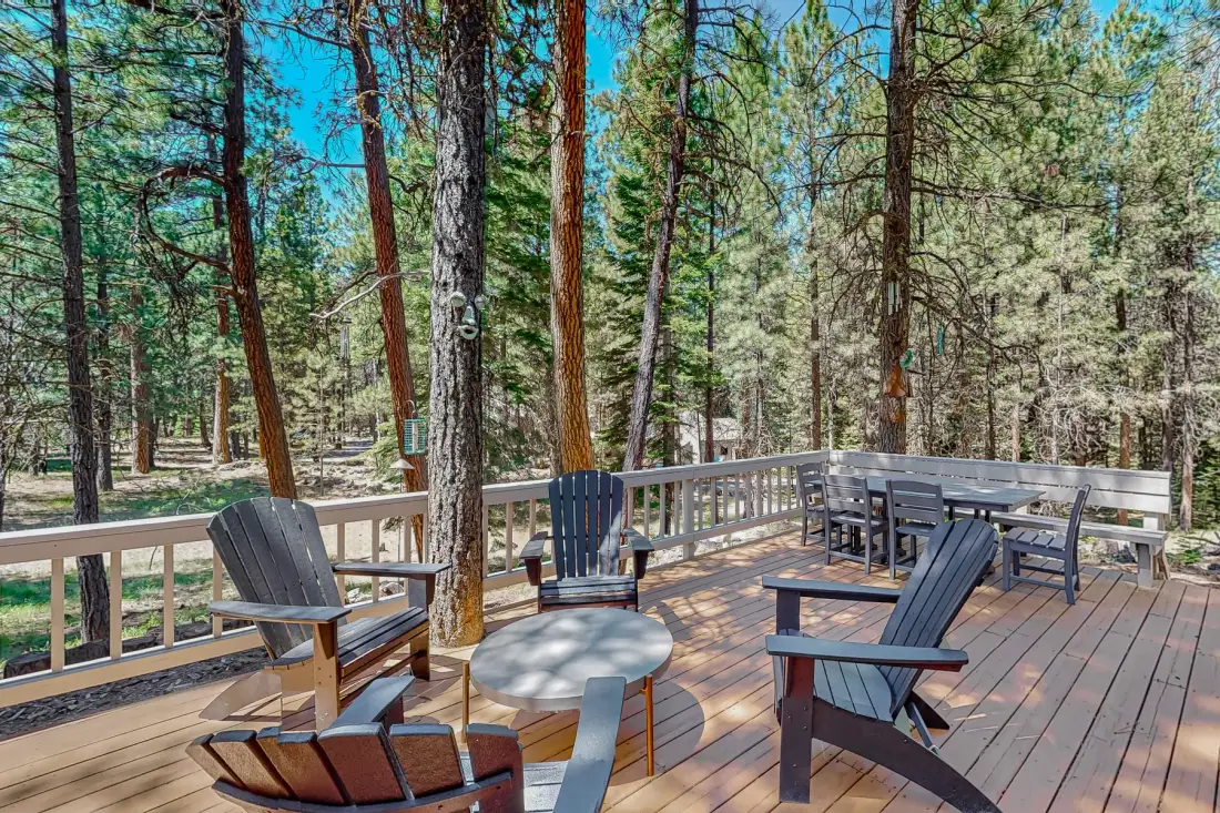 A wooden deck with outdoor seating overlooks a pine forest.