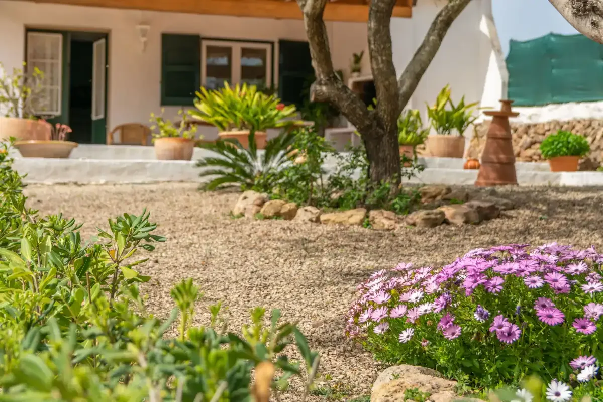 A garden with flowering plants, gravel, and a house in the background.
