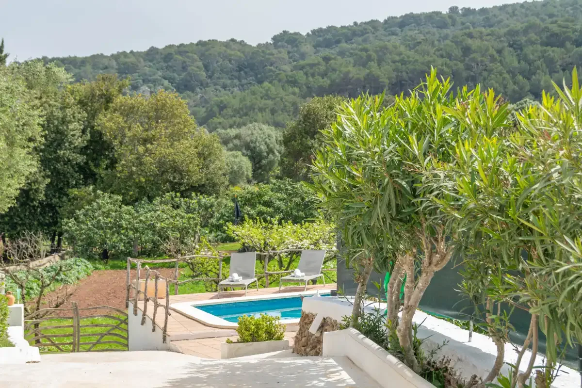 An outdoor pool and paved patio sit among leafy trees with wooded hills beyond.