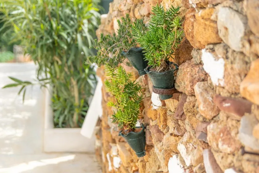 Potted greenery is mounted on a stone wall beside a bright outdoor walkway.