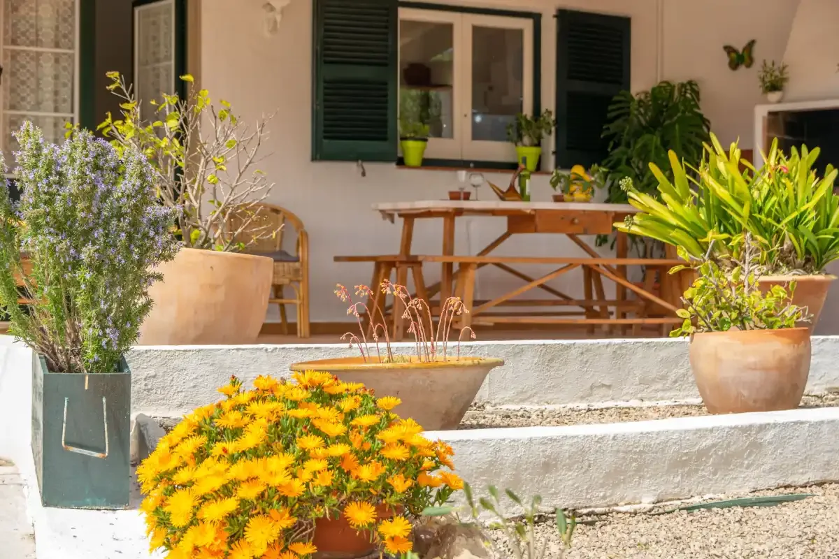 A garden terrace with wooden seating, potted plants, and bright yellow flowers.