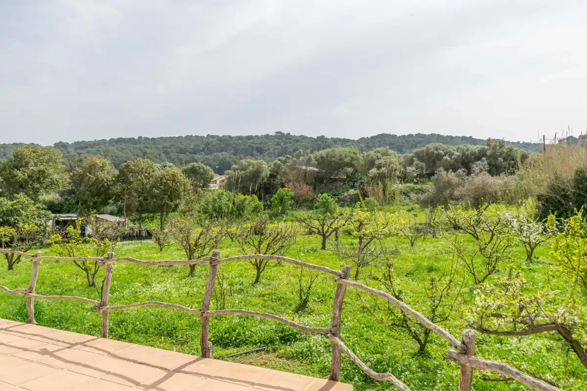 A green orchard landscape stretches beyond a rustic wooden fence.