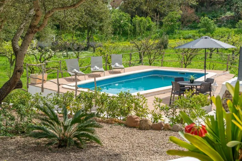 An outdoor pool sits beside patio seating, surrounded by greenery.