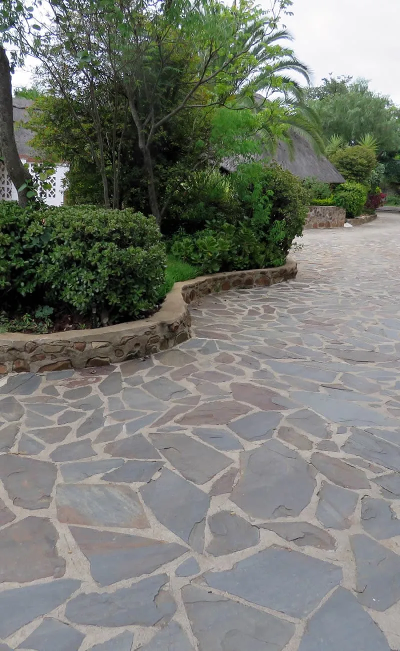 Foto de la galería de Parrot Lodge