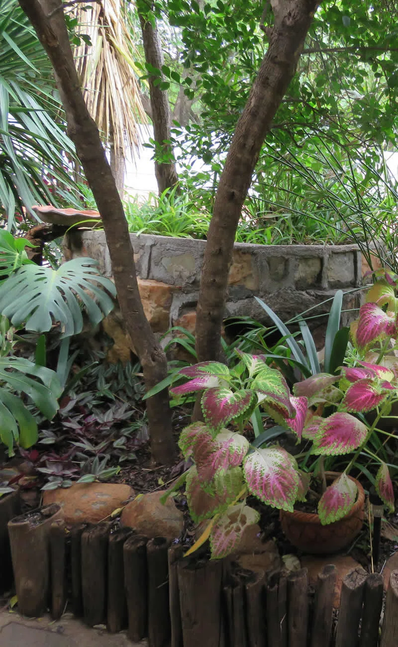 Parrot Lodge gallery photo