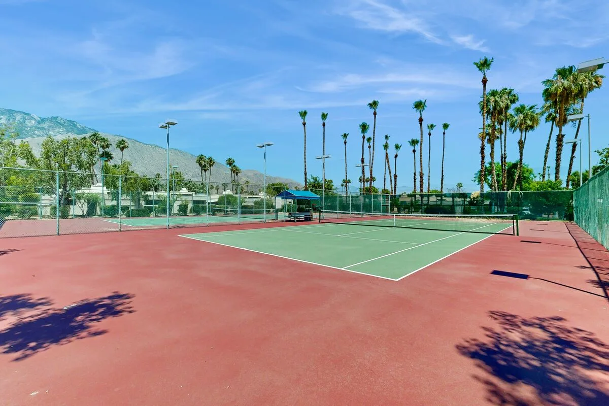 Desert Vista Oasis