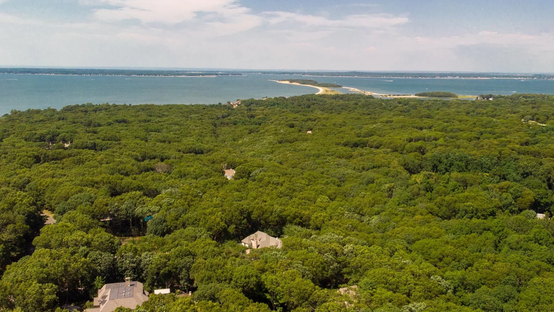 Aerial view of dense green forest stretching toward a coastal lagoon and shoreline.