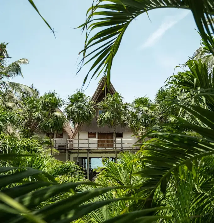 Hotel architecture with a thatched roof among palm trees.