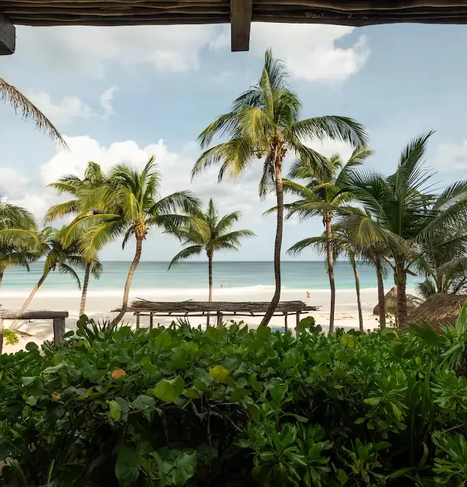 White-sand beach and palm trees viewed from a terrace.