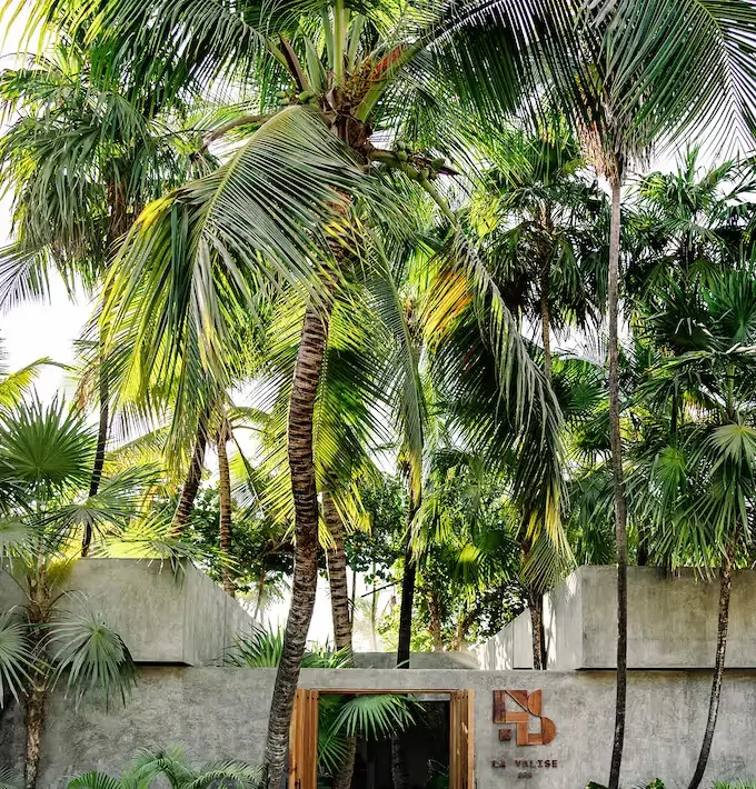 Tropical hotel entrance surrounded by palms and greenery.