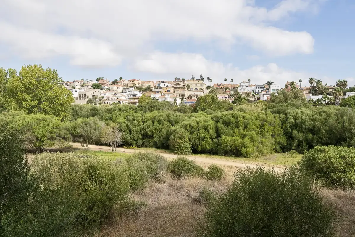 A hillside neighborhood sits beyond a broad stretch of green vegetation.
