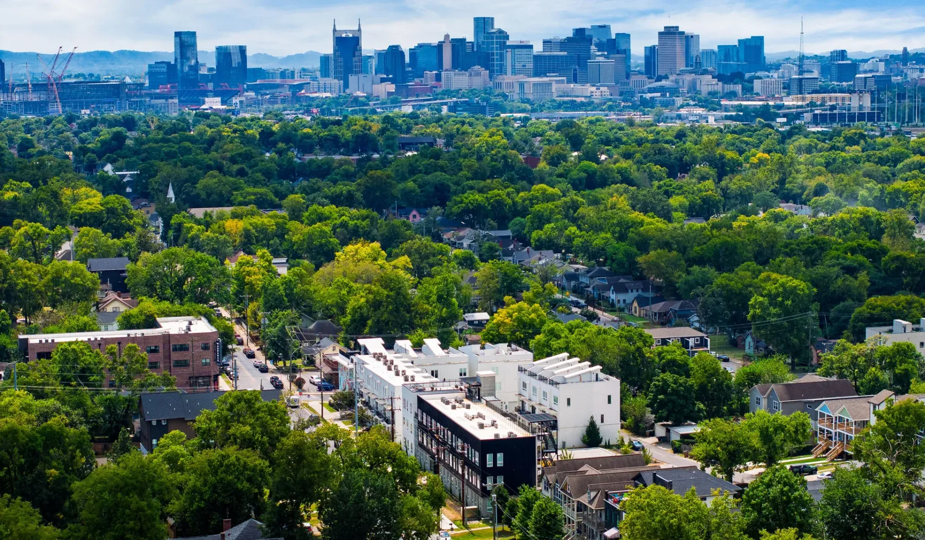 A city skyline rises beyond a broad expanse of tree-covered neighborhoods.