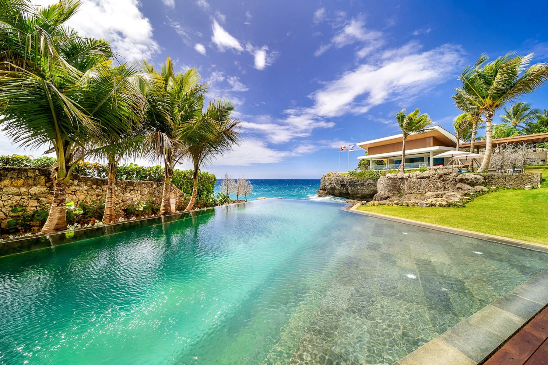 A swimming pool overlooks the ocean, with palm trees and a building nearby.