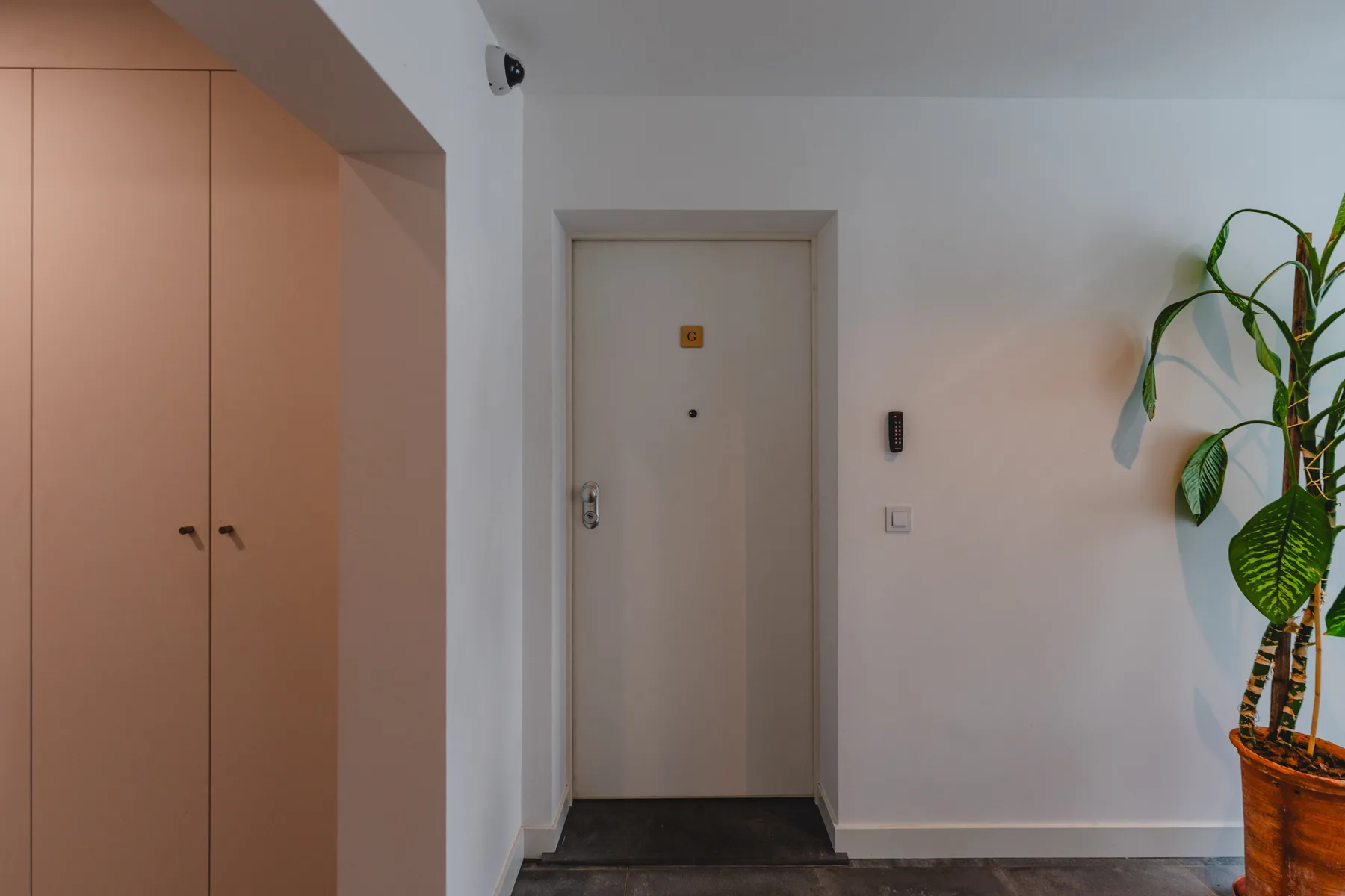 Un recibidor interior con una puerta cerrada, armarios empotrados y una planta en maceta.