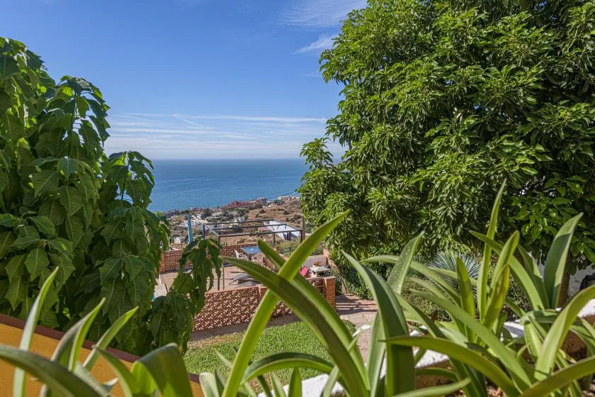 A leafy garden overlooks rooftops and the sea beneath a clear blue sky.
