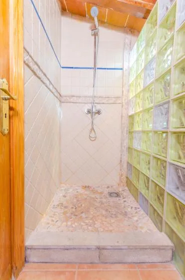 A tiled shower area with a handheld showerhead and glass-block wall.